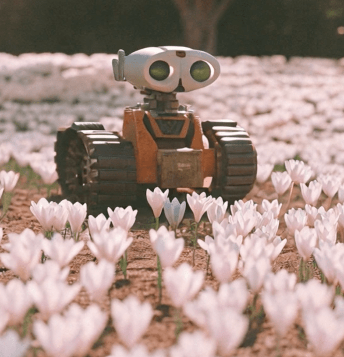 a short film